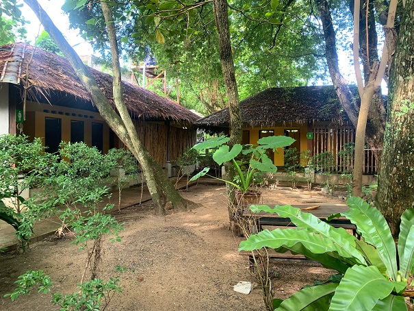 f:id:phukettown:20191121114127j:plain f:id:phukettown:20191121114127j:plain