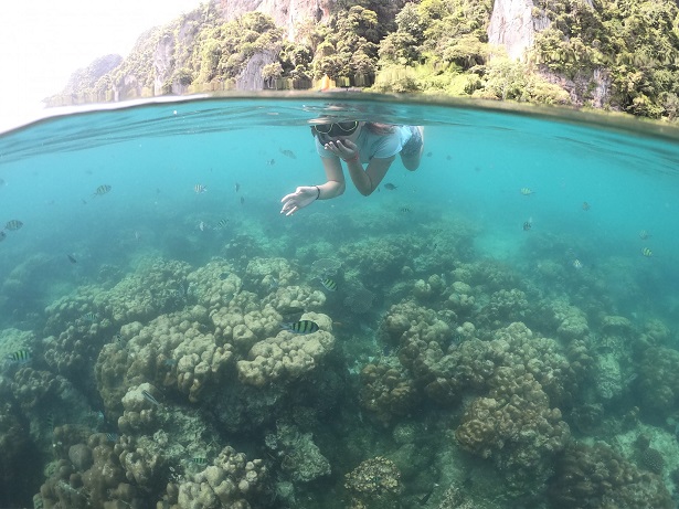 f:id:phukettown:20191121114838j:plain f:id:phukettown:20191121114838j:plain