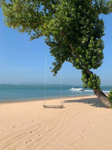 f:id:phukettown:20191226131537j:plain f:id:phukettown:20191226131537j:plain