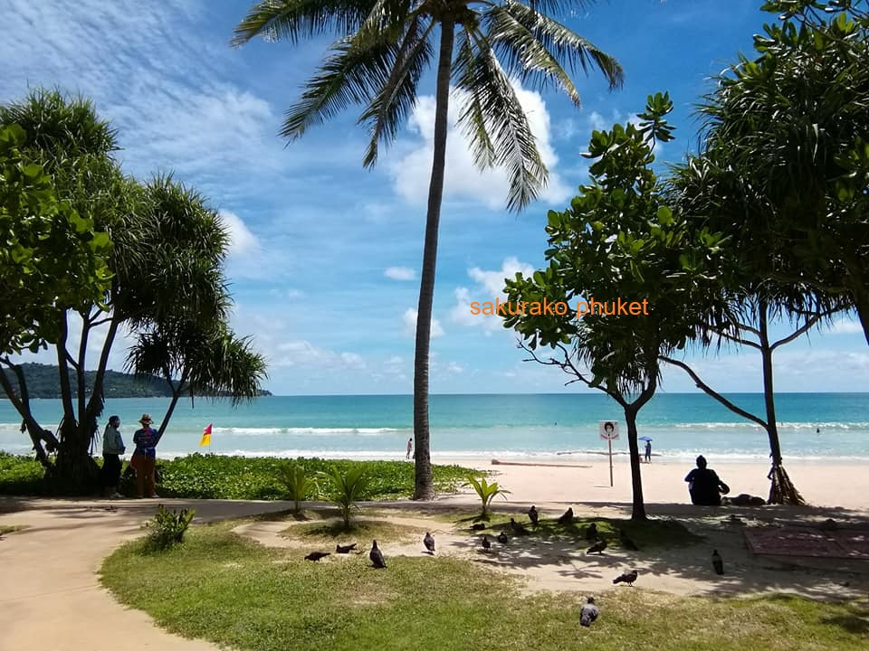 f:id:phukettown:20200720141450j:plain f:id:phukettown:20200720141450j:plain