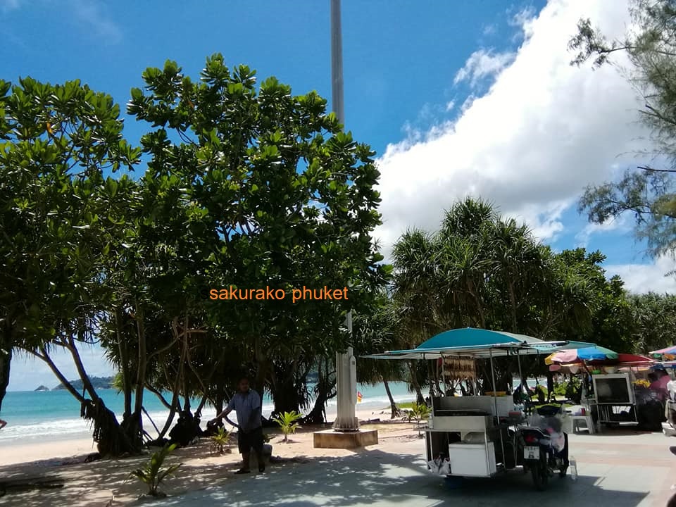 f:id:phukettown:20200720141509j:plain f:id:phukettown:20200720141509j:plain
