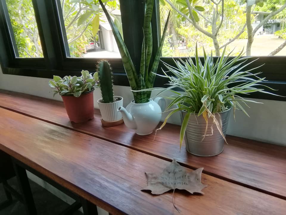 f:id:phukettown:20210603150233j:plain