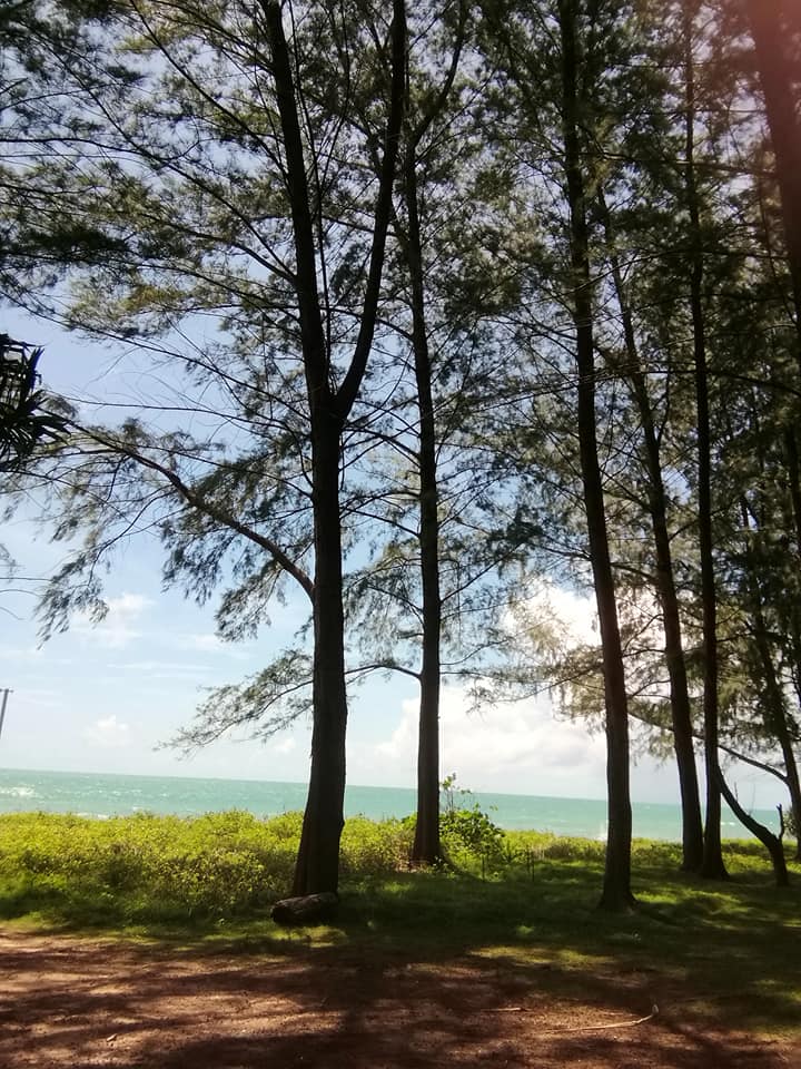 f:id:phukettown:20211009015254j:plain