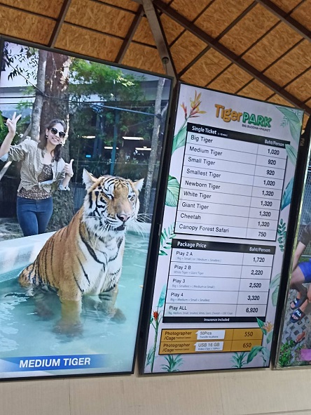 週末セール　ロイヤルコペンハーゲン　虎　タイガー 楽天市場】ロイヤルコペンハーゲン ROYAL COPENHAGEN アニュアル