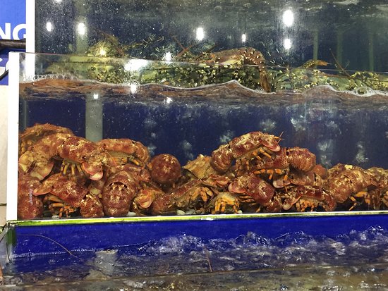 絶品 ベトナム人にも愛されるフーコック海鮮料理の紹介 ベトナムフーコックでお土産やさんと食品工場を経営している人のはなし 絶品 ベトナム人にも愛されるフーコック海鮮料理の紹介 ベトナムフーコックでお土産やさんと食品工場を経営している人のはなし