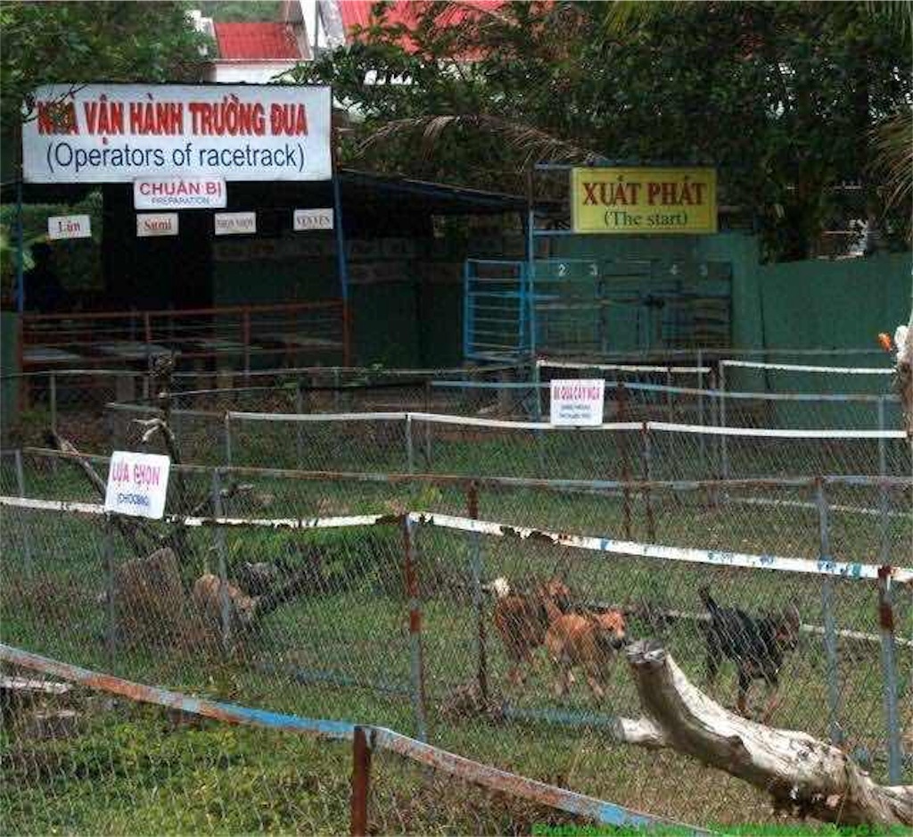 絶滅危惧種指定 伝説を生きるフーコック犬 Phu Quoc Dogを紹介します ベトナムフーコックでお土産やさんと食品工場を経営している人のはなし