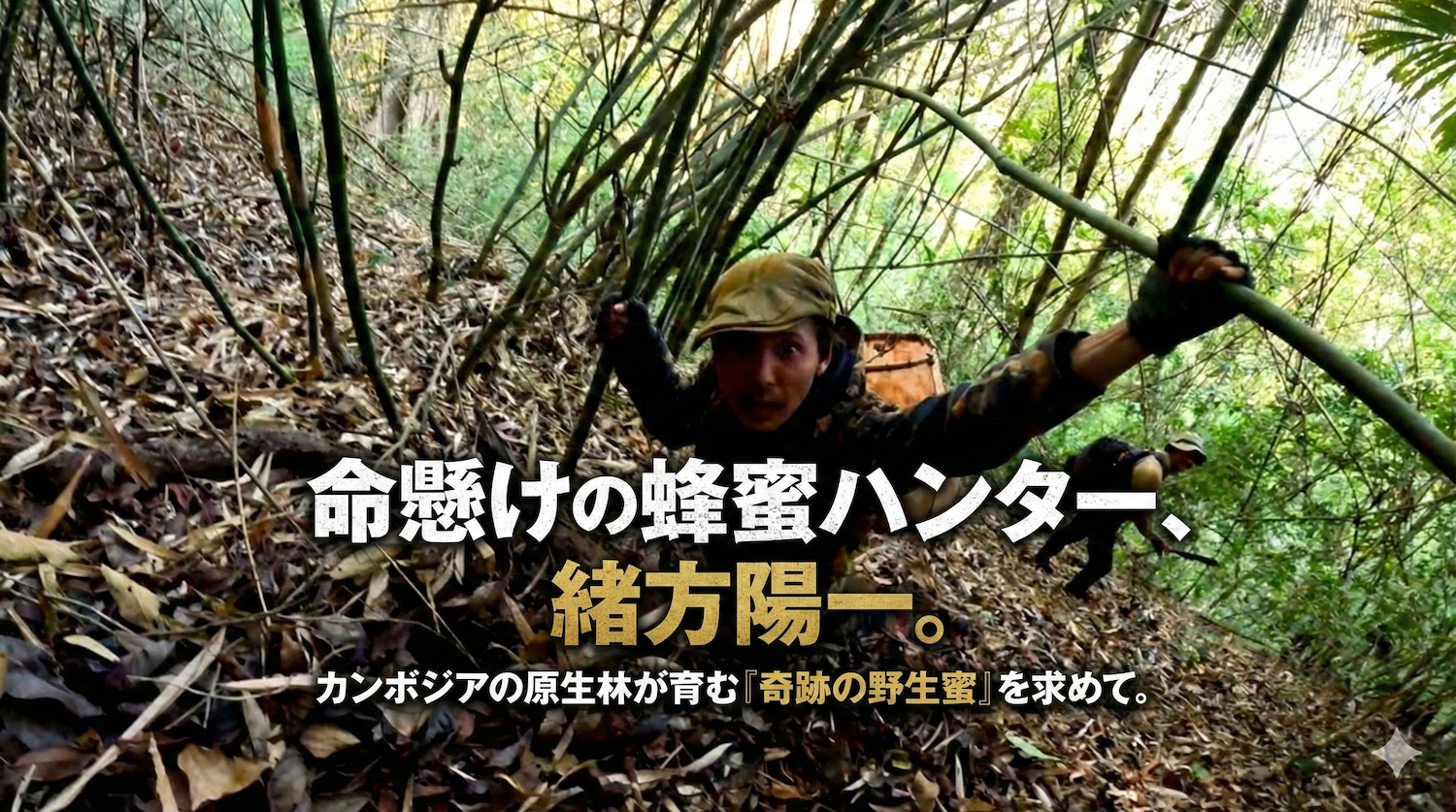 ハニーハンター「緒方陽一」さん！蜂蜜の価格は？クレイジージャーニー
