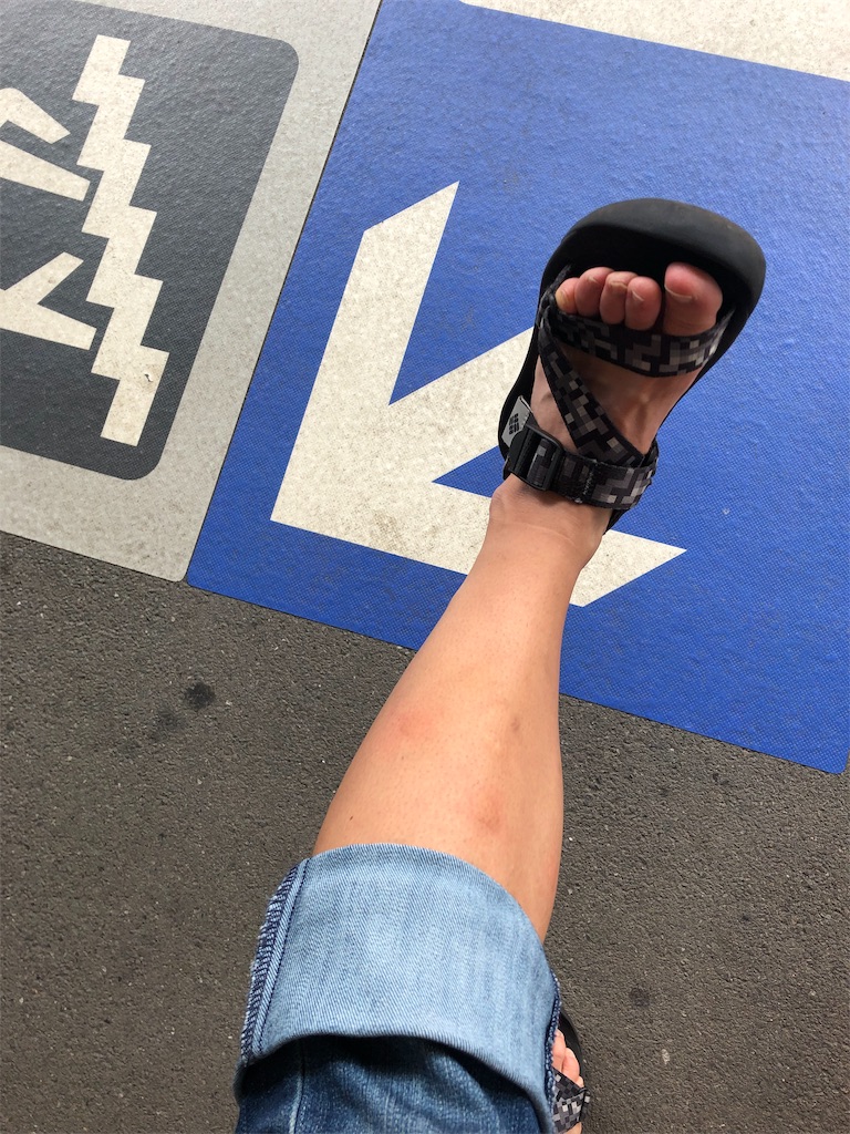 f:id:physical141yuko:20190812161313j:image f:id:physical141yuko:20190812161313j:image