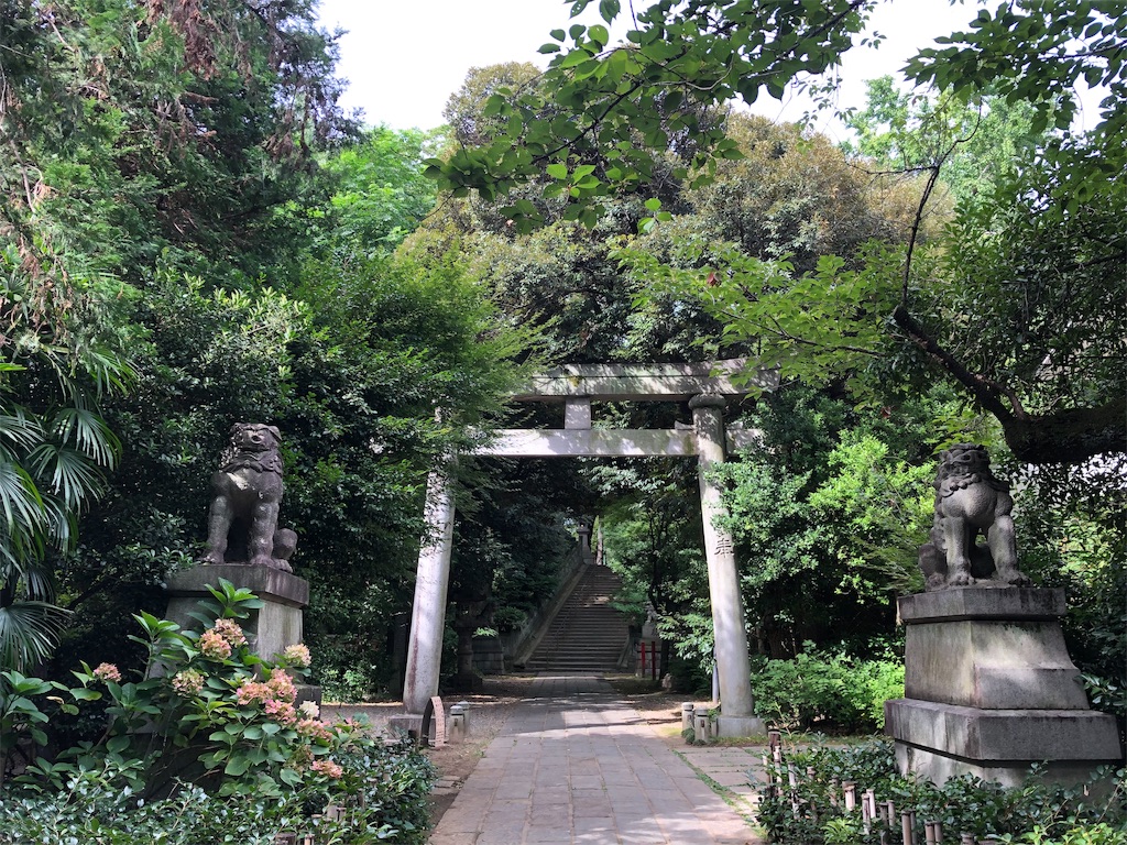 f:id:physical141yuko:20190812210747j:image f:id:physical141yuko:20190812210747j:image