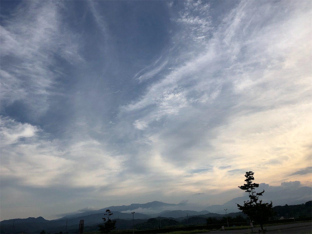 f:id:physical141yuko:20190813083839j:image f:id:physical141yuko:20190813083839j:image