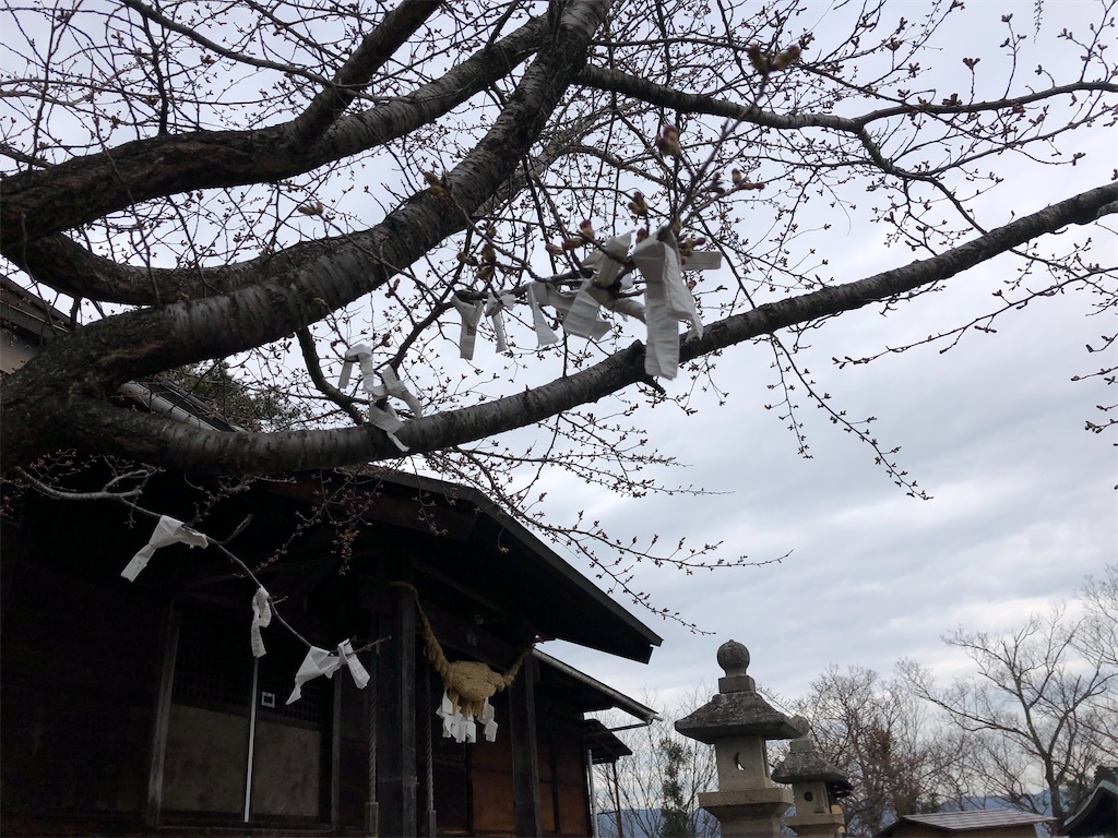 f:id:physical141yuko:20200327131441j:image f:id:physical141yuko:20200327131441j:image