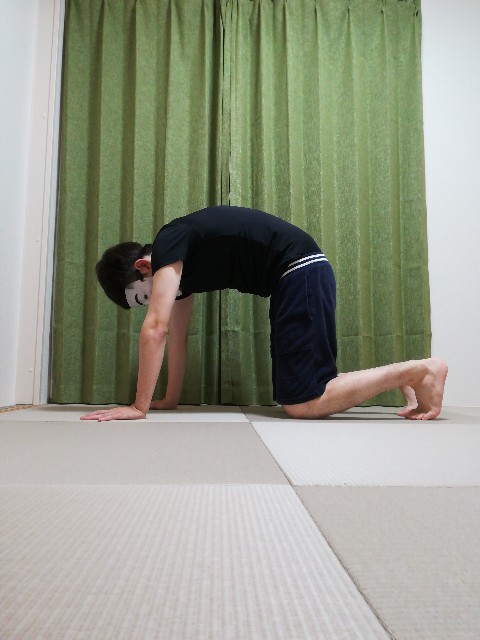 f:id:physicalblog:20190705222243j:image