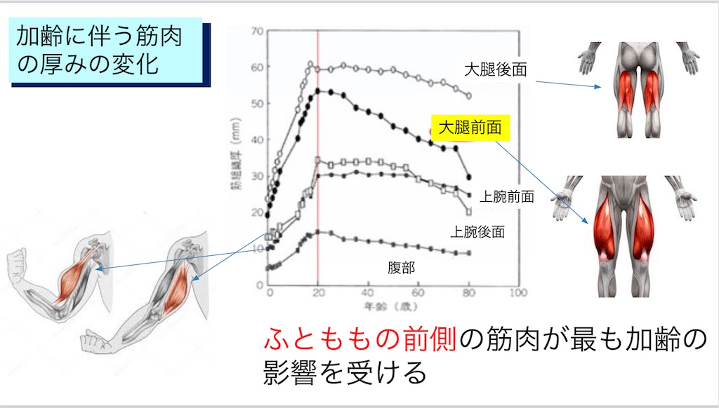 f:id:physicalist:20230610202750j:image f:id:physicalist:20230610202750j:image