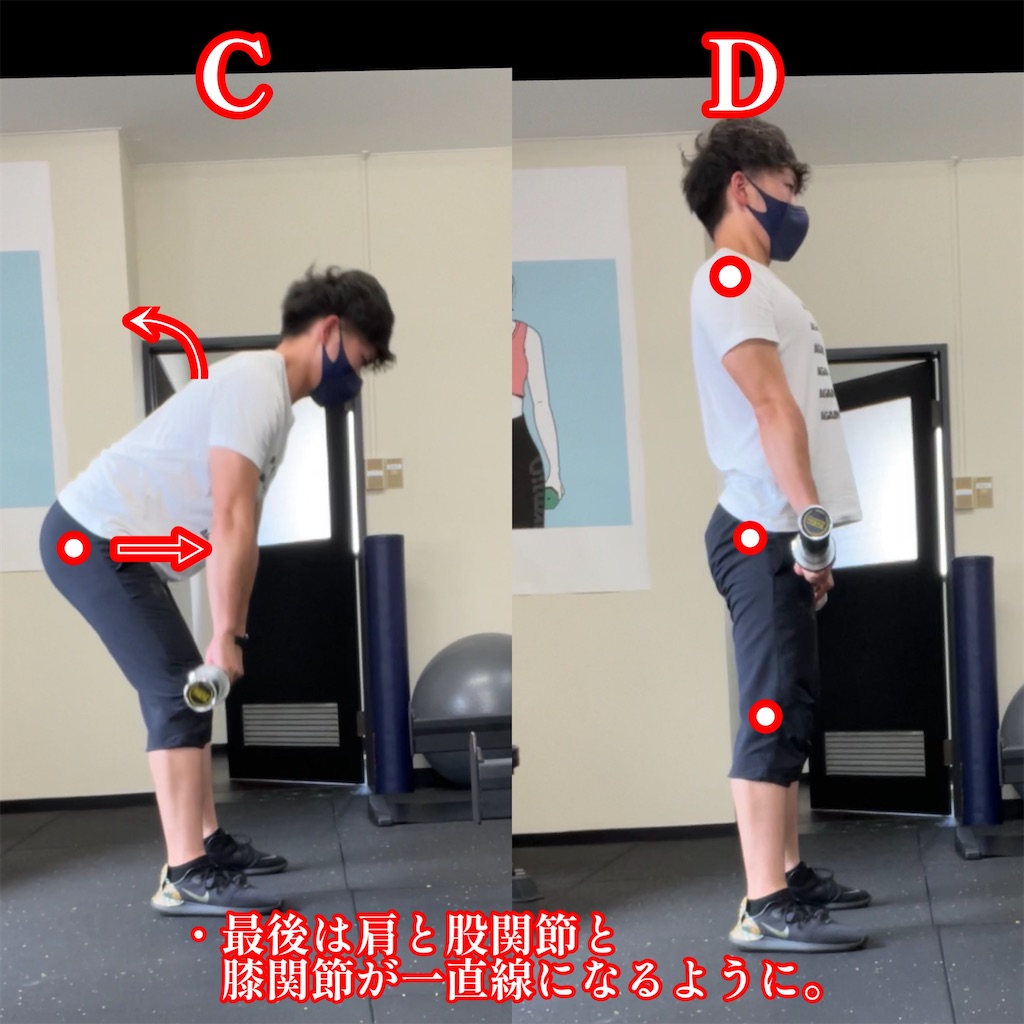 f:id:physipo:20220730163623j:image