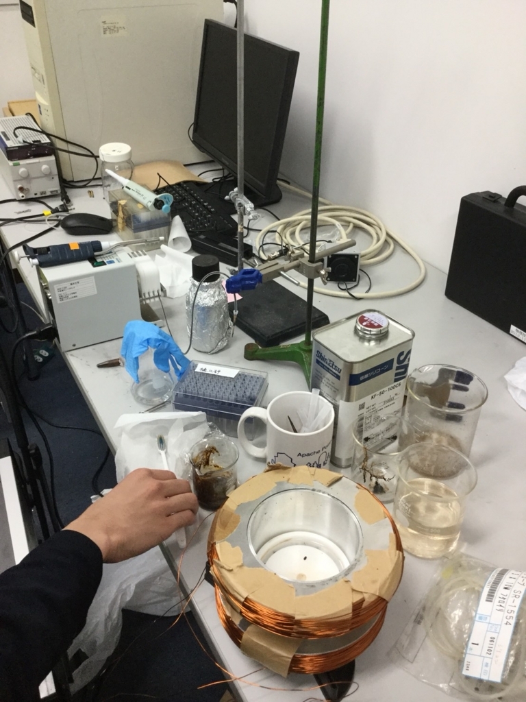 f:id:physlab2018:20180417142635j:plain f:id:physlab2018:20180417142635j:plain