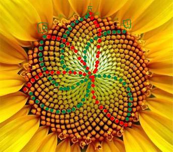 f:id:physlab2018:20180516221253j:plain