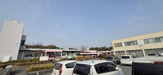 f:id:pi-cha:20250313091047j:image