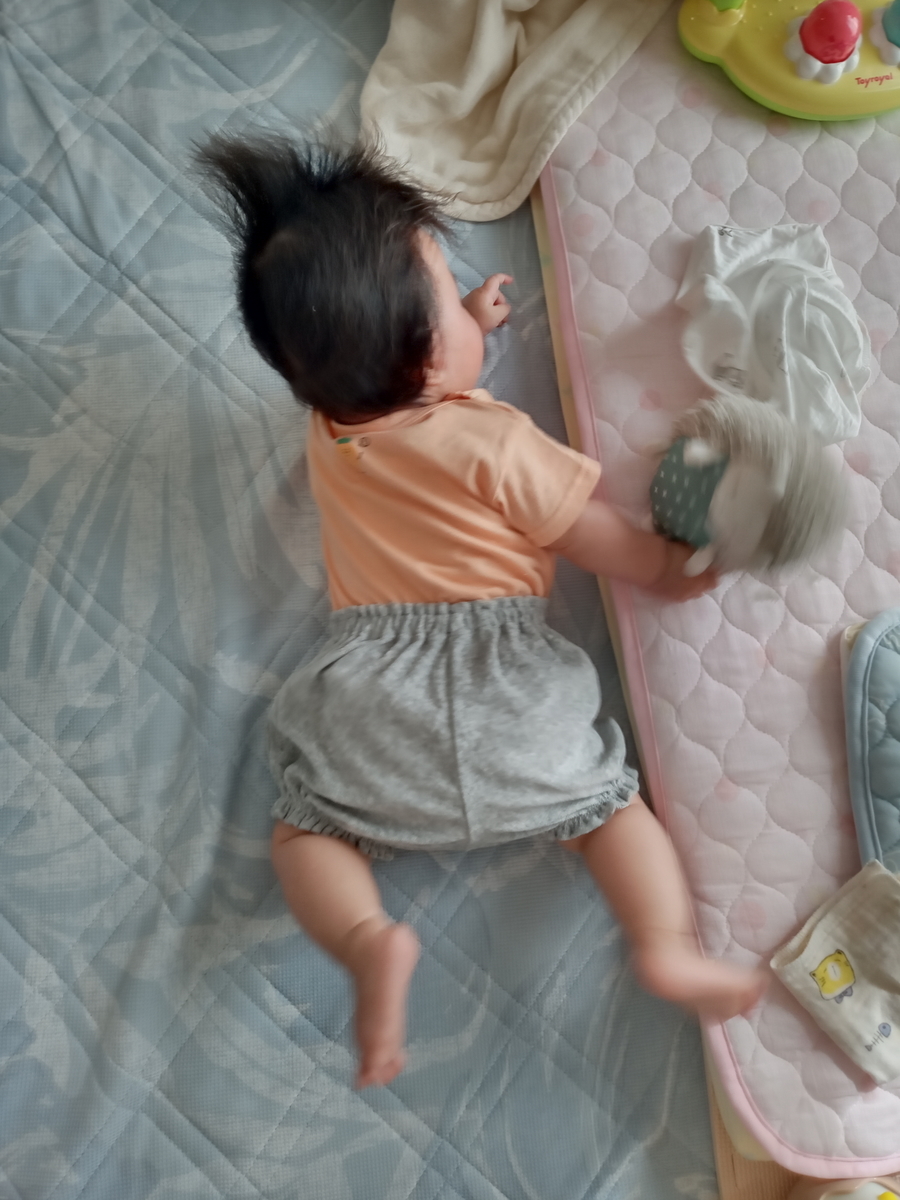 f:id:pi-pa-suke:20210603133927j:plain