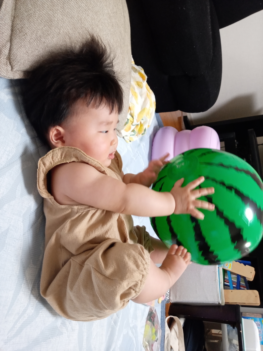 f:id:pi-pa-suke:20210708131000j:plain