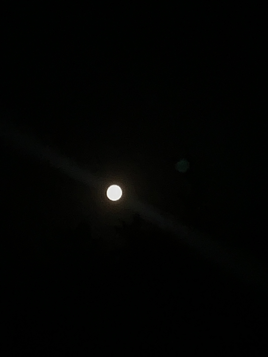 満月