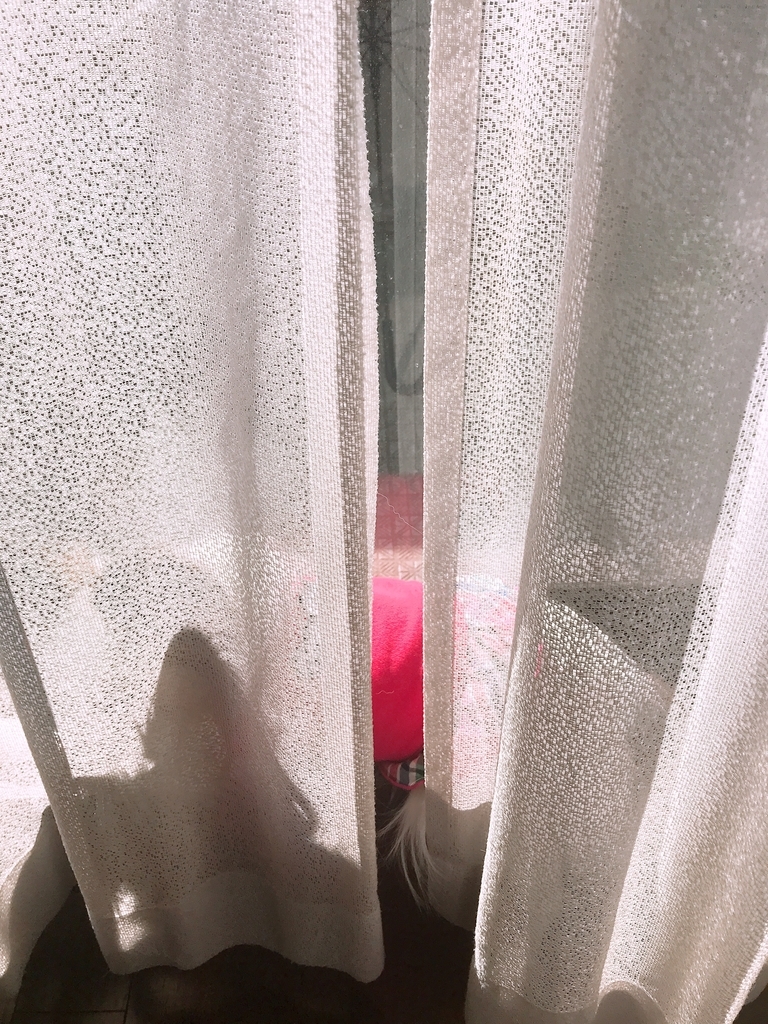 f:id:piano1228:20181103132328j:plain f:id:piano1228:20181103132328j:plain