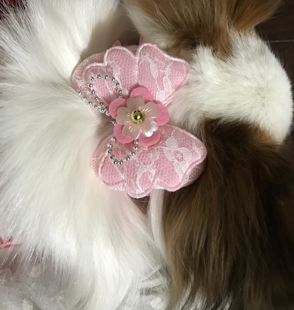 f:id:piano1228:20190112214815j:plain