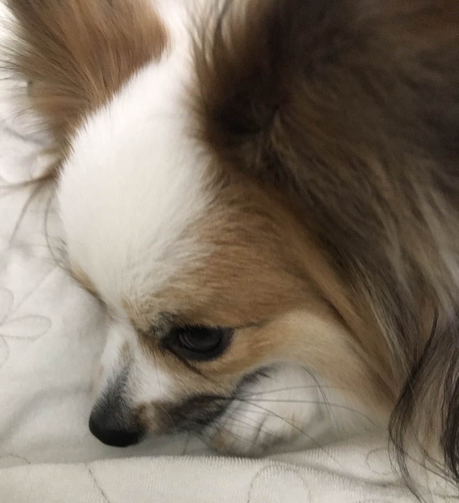 f:id:piano1228:20190112215225j:plain
