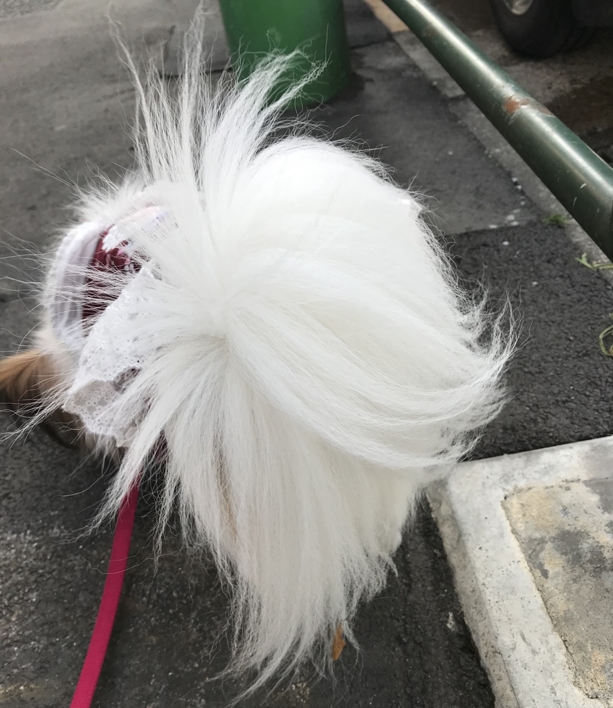 f:id:piano1228:20190210154812j:plain f:id:piano1228:20190210154812j:plain