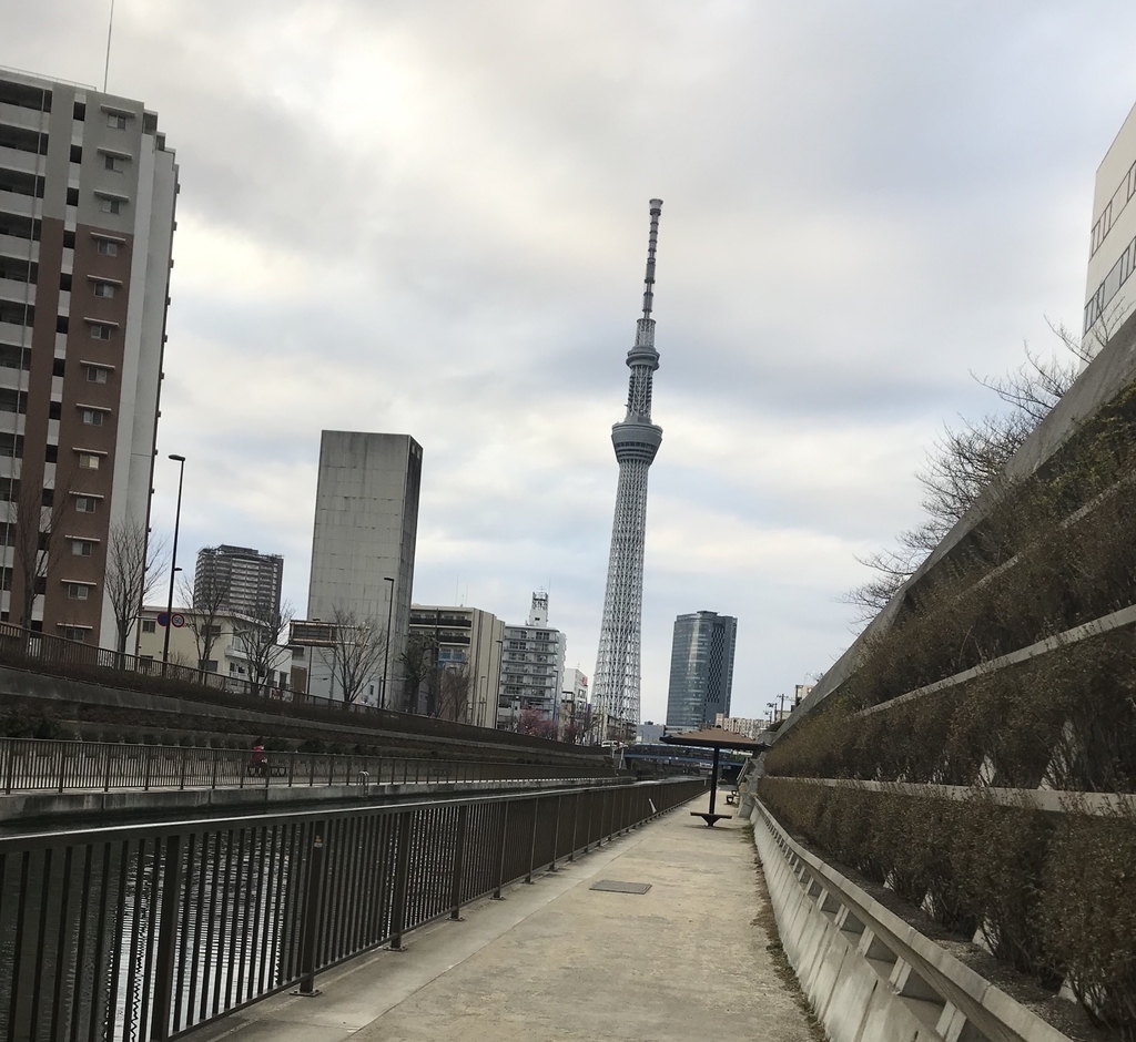f:id:piano1228:20190217114714j:plain