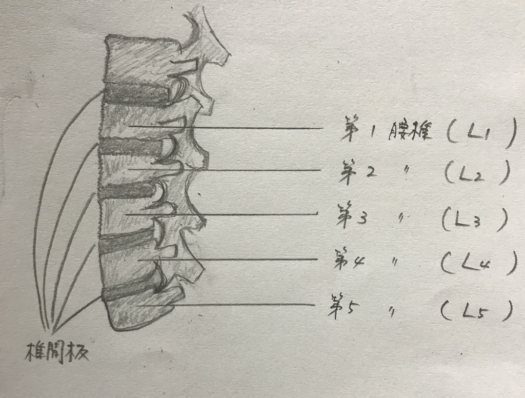 f:id:piano1228:20190224212834j:plain f:id:piano1228:20190224212834j:plain