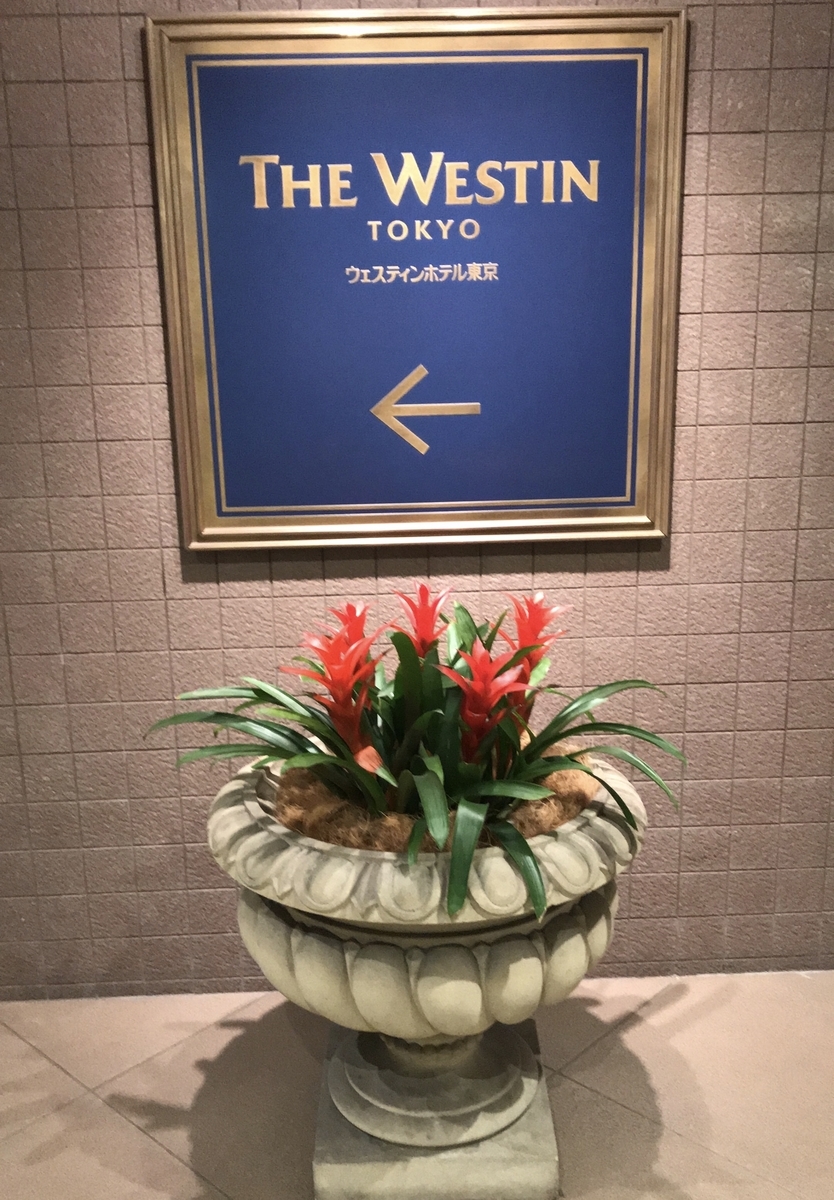 f:id:piano1228:20190326210414j:plain