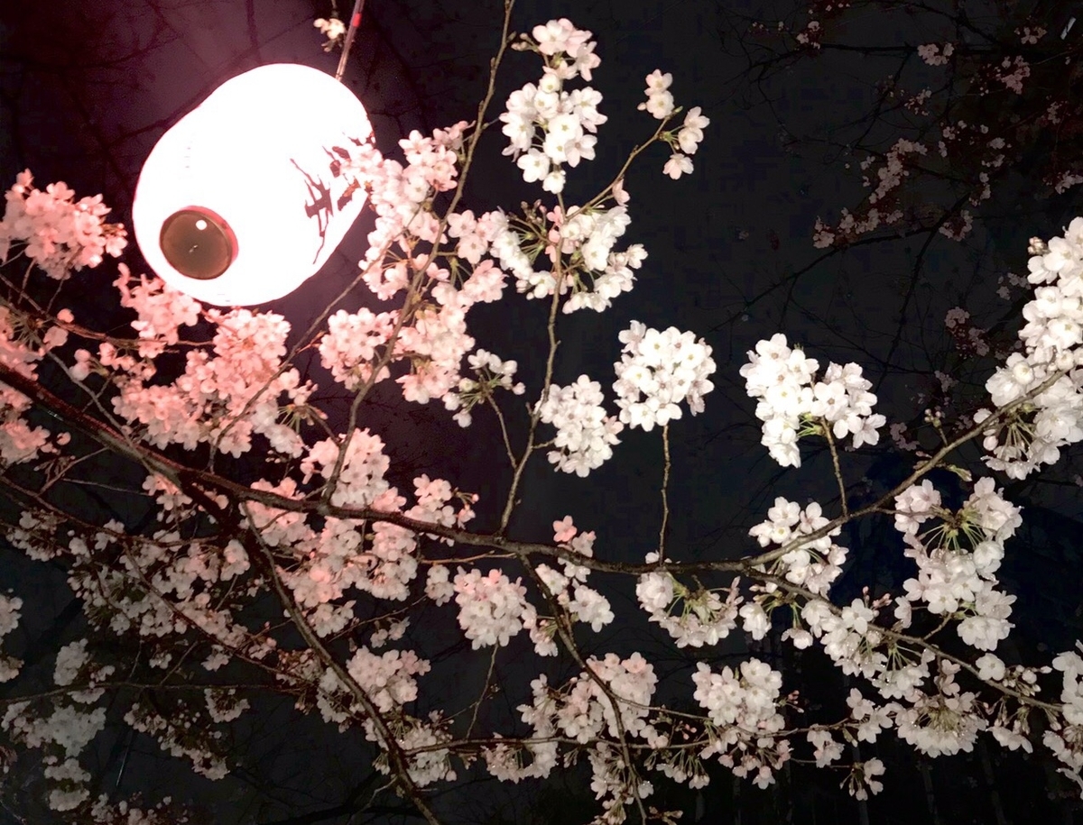 f:id:piano1228:20190330210441j:plain