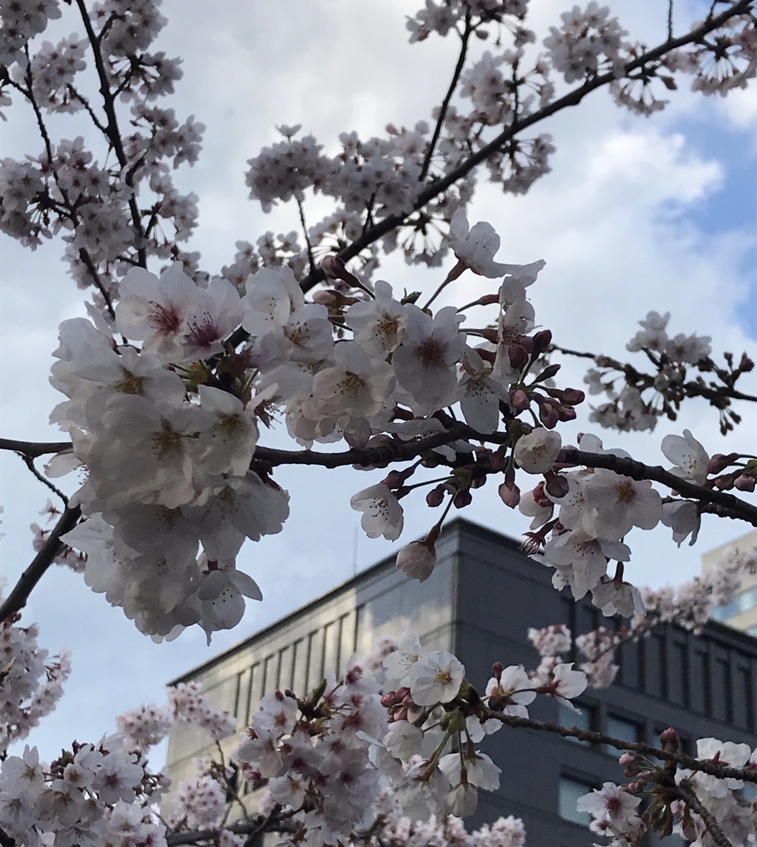 f:id:piano1228:20190331214112j:plain