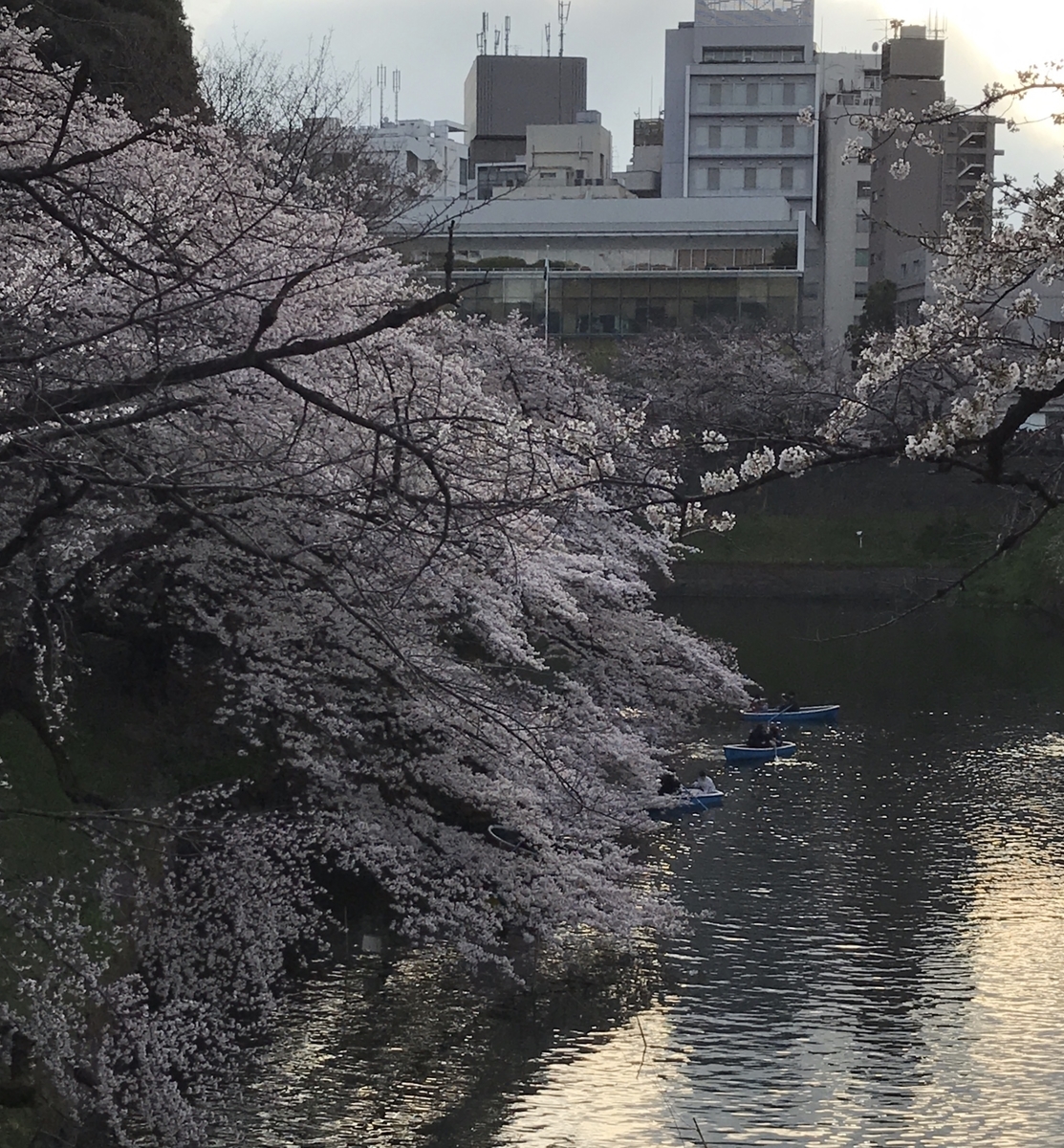 f:id:piano1228:20190331214148j:plain