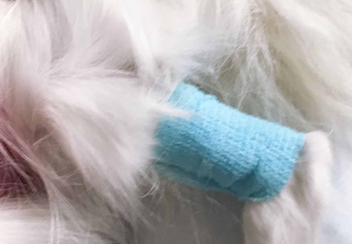 f:id:piano1228:20190414160829j:plain