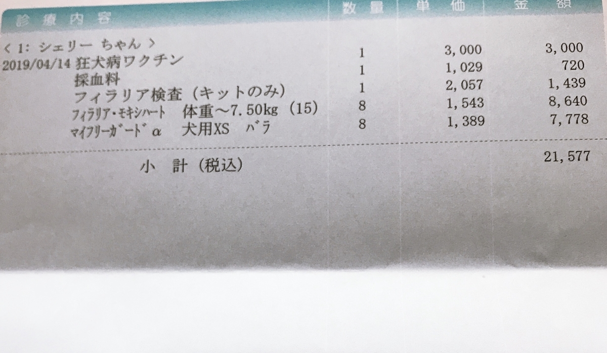 f:id:piano1228:20190414161445j:plain