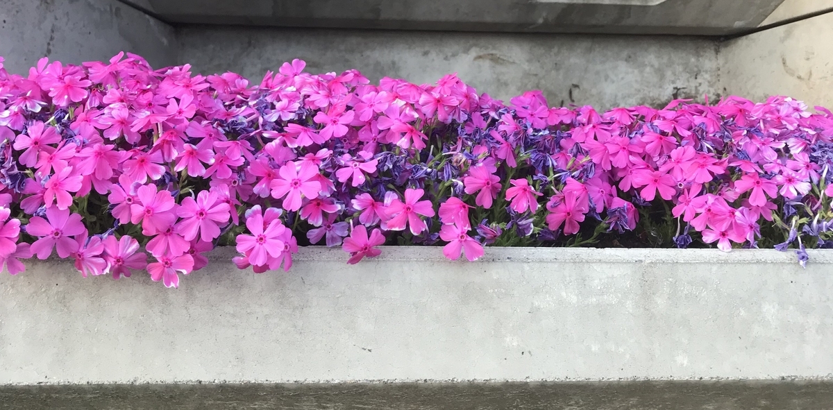f:id:piano1228:20190421203607j:plain