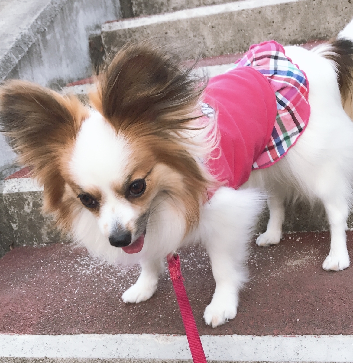 f:id:piano1228:20190526222039j:plain