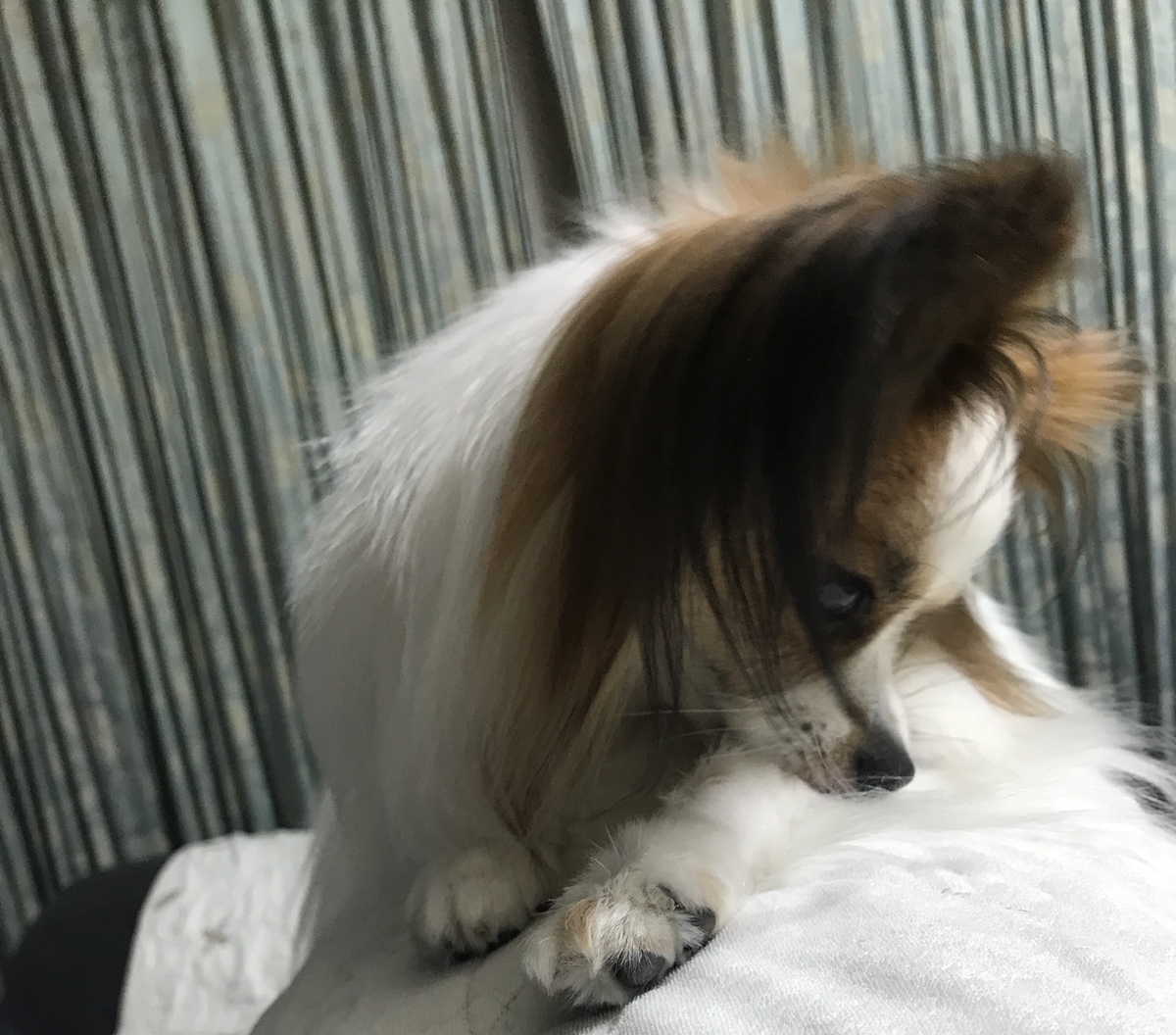 f:id:piano1228:20190613210952j:plain