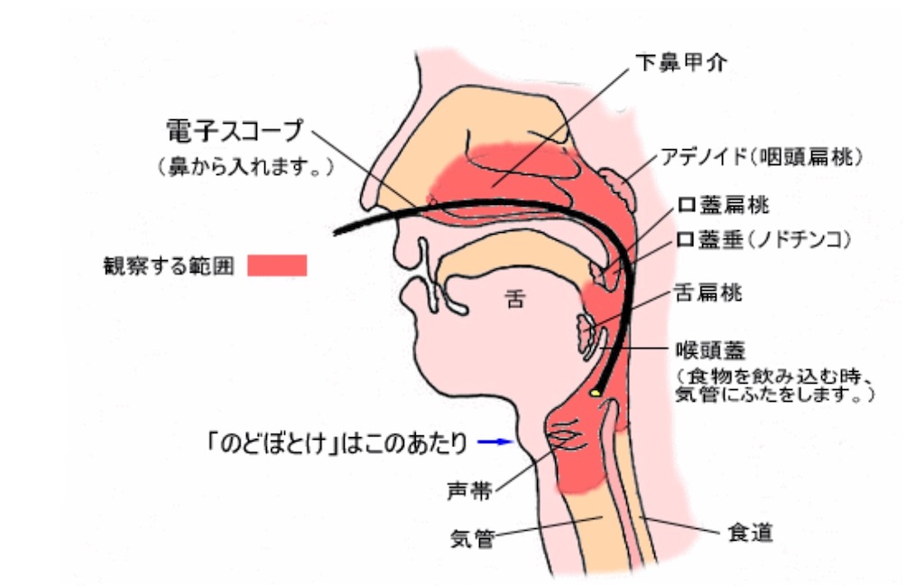 f:id:piano1228:20190728124304j:image