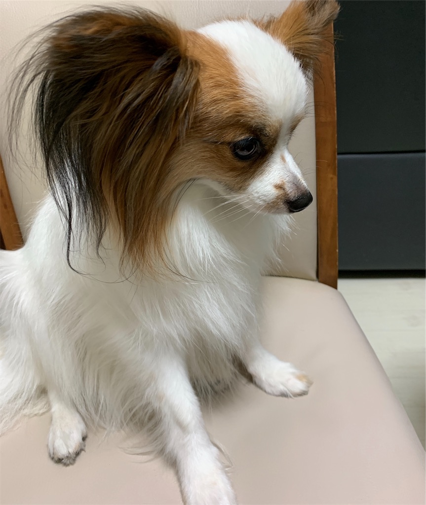 f:id:piano1228:20190817215157j:image f:id:piano1228:20190817215157j:image