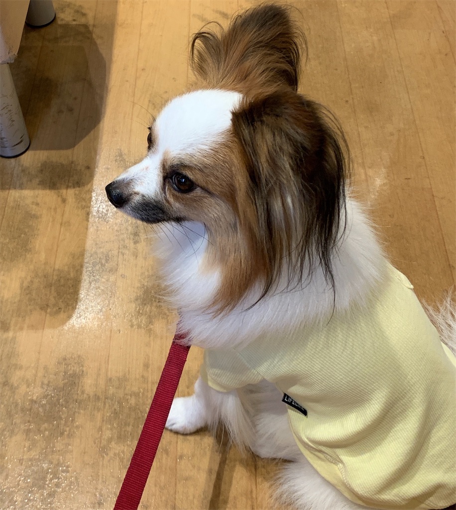 f:id:piano1228:20190908205743j:image