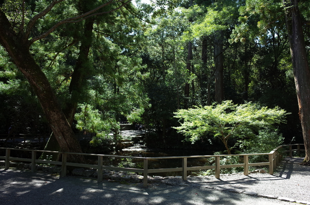 伊勢神宮外宮の自然