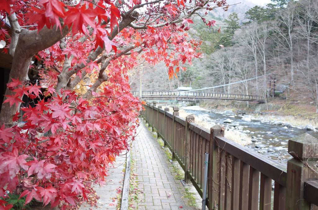 箒川上流を望む（紅の吊橋が見える）