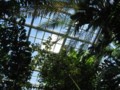 20101003194402