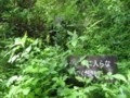 20101003194405