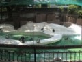 20101003214354