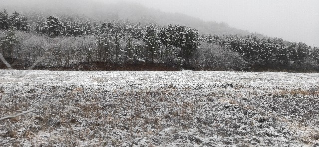 f:id:pic_Caede:20201128124458j:image f:id:pic_Caede:20201128124458j:image