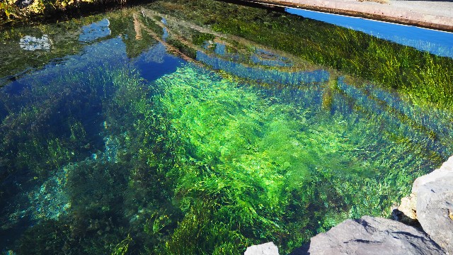 f:id:pic_Caede:20210106162226j:image f:id:pic_Caede:20210106162226j:image