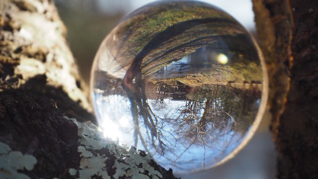 f:id:pic_Caede:20210106162246j:image f:id:pic_Caede:20210106162246j:image